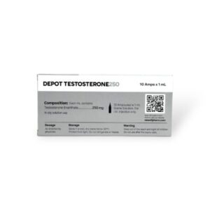 TESTOSTERONE ENANTHATE NEWELL 250MG 10 X 1ML AMPOULES